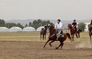 Ağrı'da Mahalli At Yarışları ve At Şenliği...
