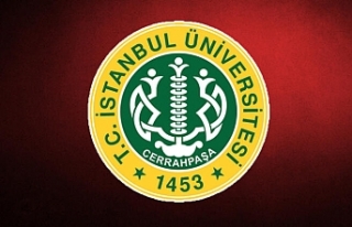 İstanbul Üniversitesi 13 Öğretim ve Araştırma...